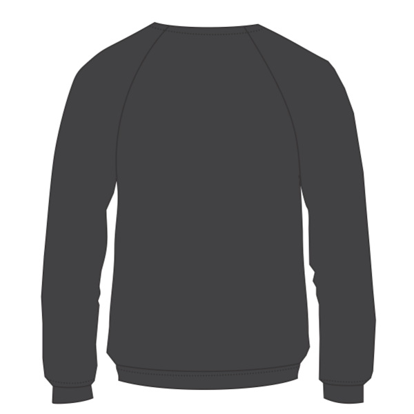 Bella + Canvas Youth Sponge Fleece Crewneck Sweatshirt, Dark Grey Heather, Back view