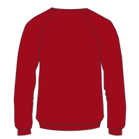 Bella + Canvas Youth Sponge Fleece Crewneck Sweatshirt, Red, Back view