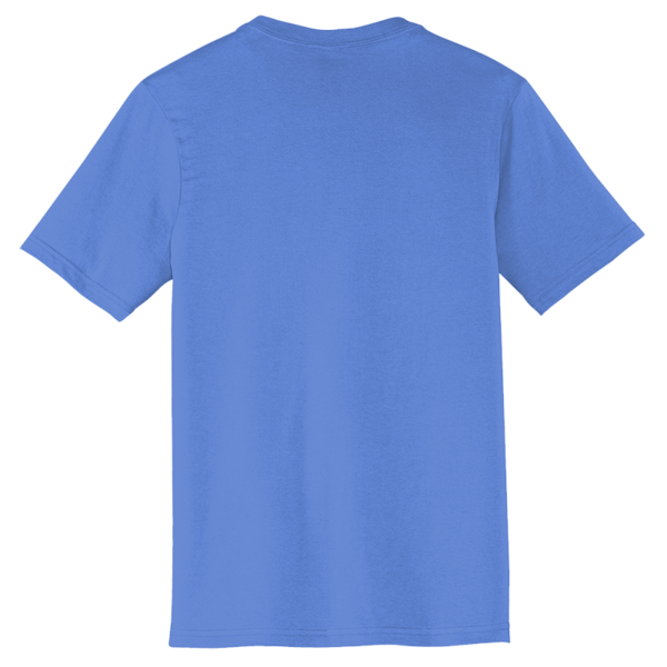 District Very Important Tee ® V Neck, Heathered Royal, Back view