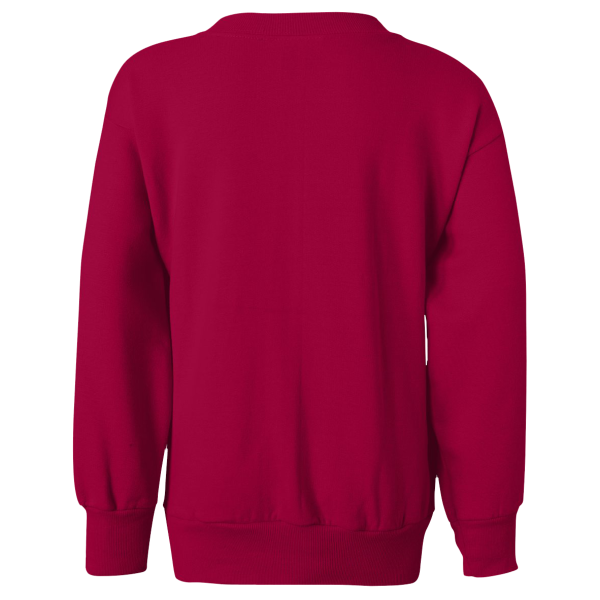 Hanes Youth EcoSmart® Crewneck Sweatshirt, Deep Red, Back view