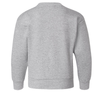 Hanes Youth EcoSmart® Crewneck Sweatshirt, Light Steel, Back view