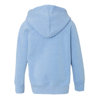 Independent Trading Co. Toddler Special Blend Hooded Raglan Sweatshirt, Pacific / Pacific, Back view